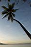 HoneyMoon 431.jpg